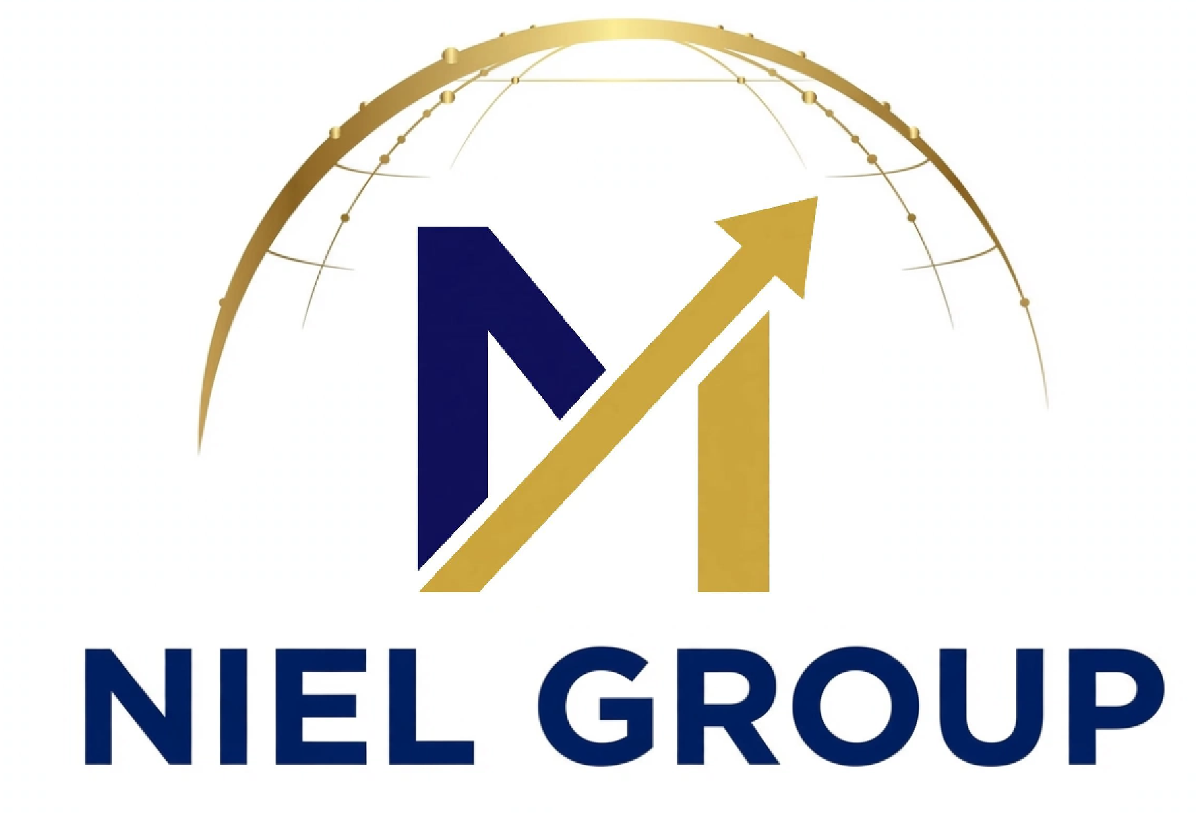 NIEL GROUP
